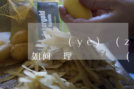 個體營業(yè)執(zhí)照如何辦理(如何辦理個體戶營業(yè)執(zhí)照)