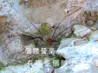 個體營業(yè)執(zhí)照年檢材料有哪些（個體工商戶營業(yè)執(zhí)照年檢流程）