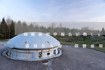 個體逾期申報忘記數(shù)據(jù)填寫怎么辦-個體逾期申報忘記數(shù)據(jù)填寫怎么辦理