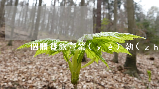 個體餐飲營業(yè)執(zhí)照