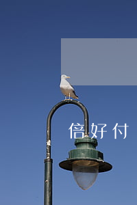 倍好付貸款逾期(倍好付分期正規(guī)嗎)