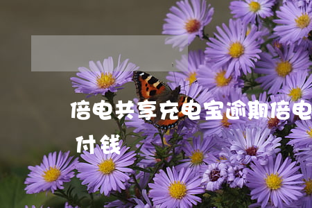 倍电共享充电宝逾期(倍电充电宝逾期了怎么付钱)