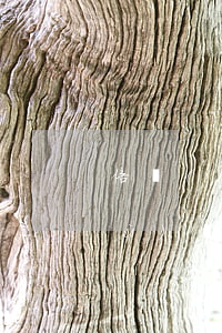 倍譽(yù)卡逾期怎么樣辦(廣州倍譽(yù)實(shí)業(yè)有限公司)