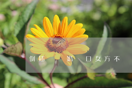 倒插門離婚戶口女方不撥怎么辦