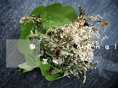 倒簽勞動(dòng)合同如何舉證(合同倒簽怎么辦)