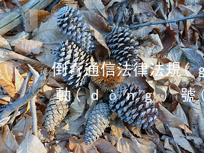 倒賣通信法律法規(guī)(私人販賣移動(dòng)號(hào)碼屬于犯罪嗎,怎樣處理的)
