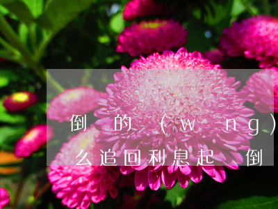 倒閉的網(wǎng)貸平臺(tái)怎么追回利息（起訴倒閉的網(wǎng)貸）