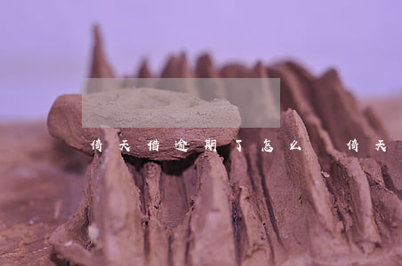 倚天借逾期了怎么辦 倚天借逾期了怎么辦