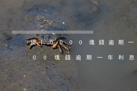 借10000塊錢逾期一年利息-借10000塊錢逾期一年利息多少