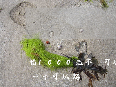 借1000元不還可以去法院告嗎(借錢不還一千可以起訴嗎)
