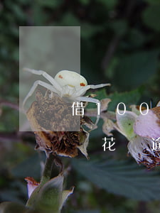 借100塊花唄逾期2年還多少-借100塊花唄逾期2年還多少利息呢