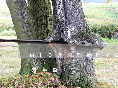 借10萬逾期被拘留 貸款10萬逾期不還,蹲幾年監(jiān)獄