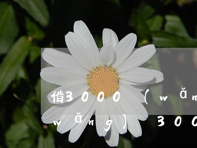 借3000網(wǎng)貸逾期一月(網(wǎng)貸3000逾期利息8000)