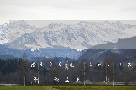 借300元無(wú)力償還(借款300元不還能立案嗎)