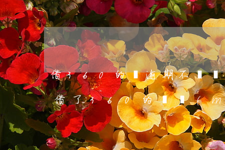 借360的錢逾期不還會(huì)怎么樣(借了360的錢沒(méi)還后果會(huì)怎樣)