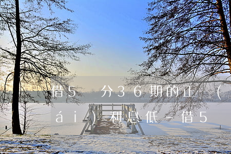 借5萬分36期的正規(guī)平臺(tái)利息低-借5萬分36期的貸款平臺(tái)
