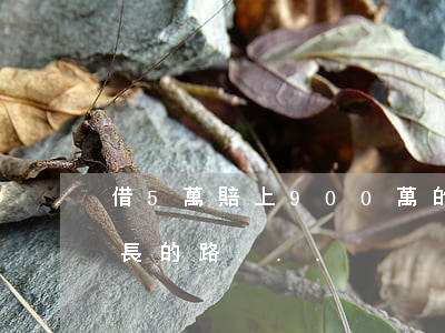 借5萬賠上900萬的房！小心這個世界上最長的路...