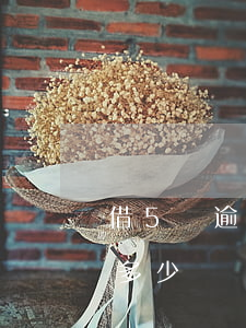 借5萬逾期兩年要還多少（5萬逾期三年要還多少）