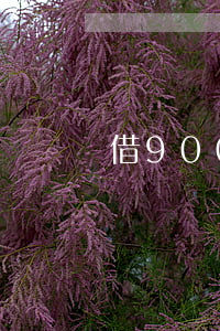 借900萬無力償還(欠款90萬無力償還)