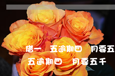 借一萬五逾期四個月要五千塊利息-借一萬五逾期四個月要五千塊利息合法嗎