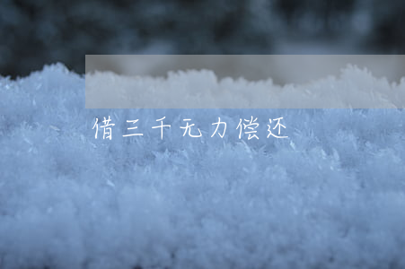 借三千无力偿还