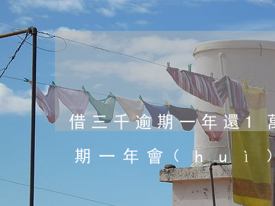 借三千逾期一年還1萬-3000元貸款逾期一年會(huì)怎么樣