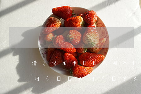 借了信用卡給別人用不還怎么起訴-借了信用卡給別人用不還怎么起訴他