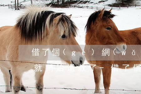 借了個(gè)網(wǎng)貸沒收到錢就開始還款了-借了個(gè)網(wǎng)貸沒收到錢就開始還款了怎么辦
