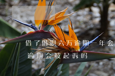 借了借呗六万逾期一年会怎么样-借呗六万逾期会被起诉吗