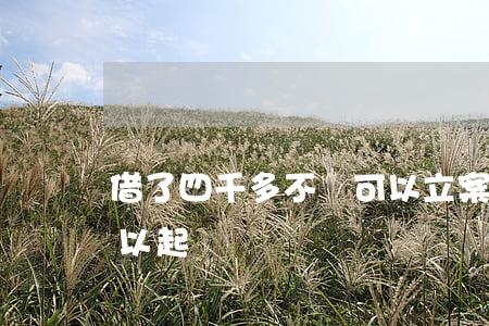 借了四千多不還可以立案嗎（借錢四千是否可以起訴）