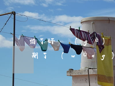 借了好幾個(gè)網(wǎng)貸都逾期了(網(wǎng)貸全部逾期了)
