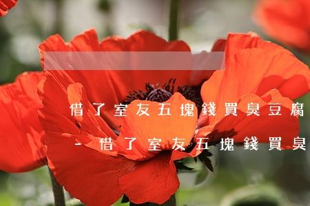 借了室友五塊錢買臭豆腐無(wú)力償還-借了室友五塊錢買臭豆腐無(wú)力償還犯法嗎
