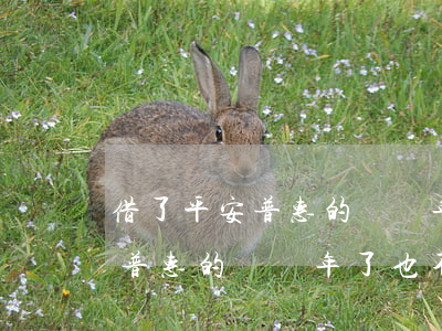 借了平安普惠的錢幾年了也不起訴(借了平安普惠的錢幾年了也不起訴)