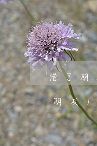 借了朋友10万暂时无力偿还怎么办-借了朋友10万暂时无力偿还怎么办呢