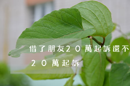 借了朋友20萬起訴還不了怎么辦（朋友借錢20萬起訴）