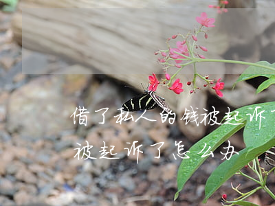 借了私人的钱被起诉了怎么办(借了私人的钱被起诉了怎么办)