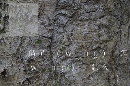借了網(wǎng)貸怎么辦(老婆借了網(wǎng)貸怎么辦)