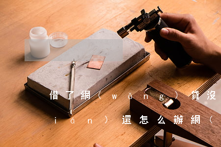 借了網(wǎng)貸沒(méi)錢(qián)還怎么辦(網(wǎng)貸實(shí)在無(wú)力償還了怎么辦)