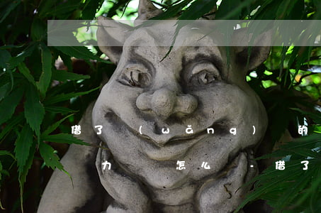 借了網(wǎng)貸的錢實(shí)在無力償還怎么辦-借了網(wǎng)貸的錢實(shí)在無力償還怎么辦