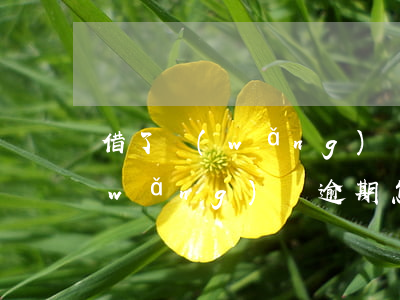借了網(wǎng)貸逾期了怎么貸款(網(wǎng)貸逾期怎么處理比較好)