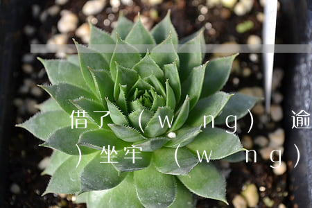 借了網(wǎng)貸逾期多久會(huì)坐牢(網(wǎng)絡(luò)貸款逾期會(huì)坐牢嗎)