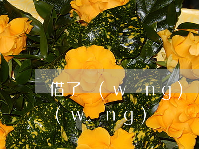 借了網(wǎng)貸還讓他去起訴(借了網(wǎng)貸還讓他去起訴怎么辦)