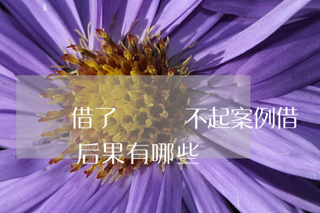 借了網貸還不起案例 借網貸還不上被起訴的后果有哪些?