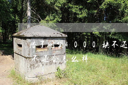 借了网贷4000块不还(网上贷款4000不还会怎么样)