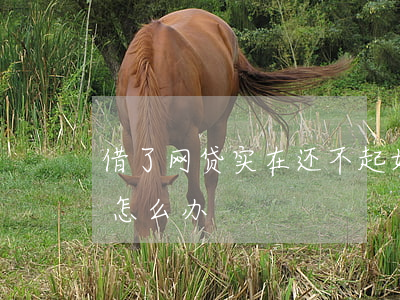 借了网贷实在还不起(如果借了网贷还不起了怎么办)