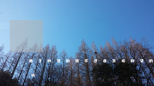 借了网贷的钱不还会怎样(网贷的钱可以不还吗)