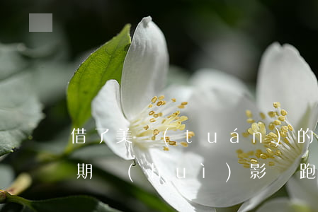 借了美團(tuán)的錢(qián)逾期會(huì)影響跑眾包嗎-美團(tuán)上借了錢(qián)逾期了,會(huì)不會(huì)被起訴