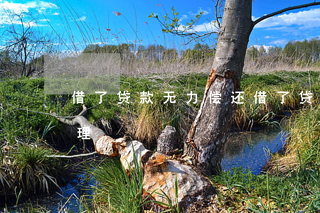 借了贷款无力偿还(借了贷款无力偿还怎么处理)