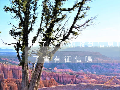 借了錢逾期收到信息(收到逾期短信馬上還款了會有征信嗎)
