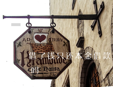 借了钱只还本金 借款只还本金不还利息可以吗